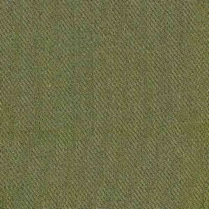 Olive Branch Wool